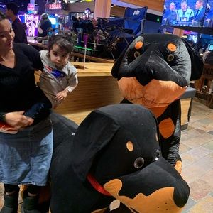 Meet your Posher, Shirley